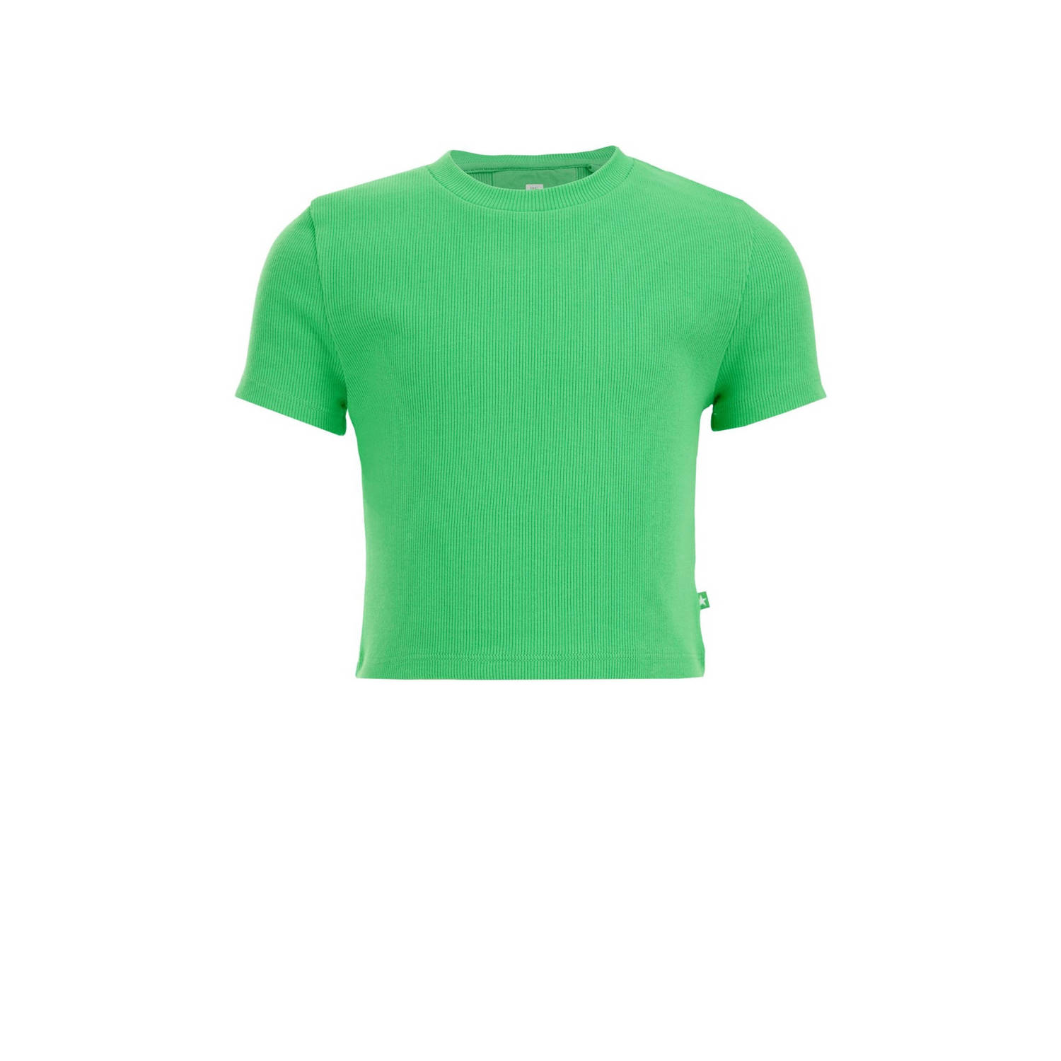 WE Fashion T-shirt groen