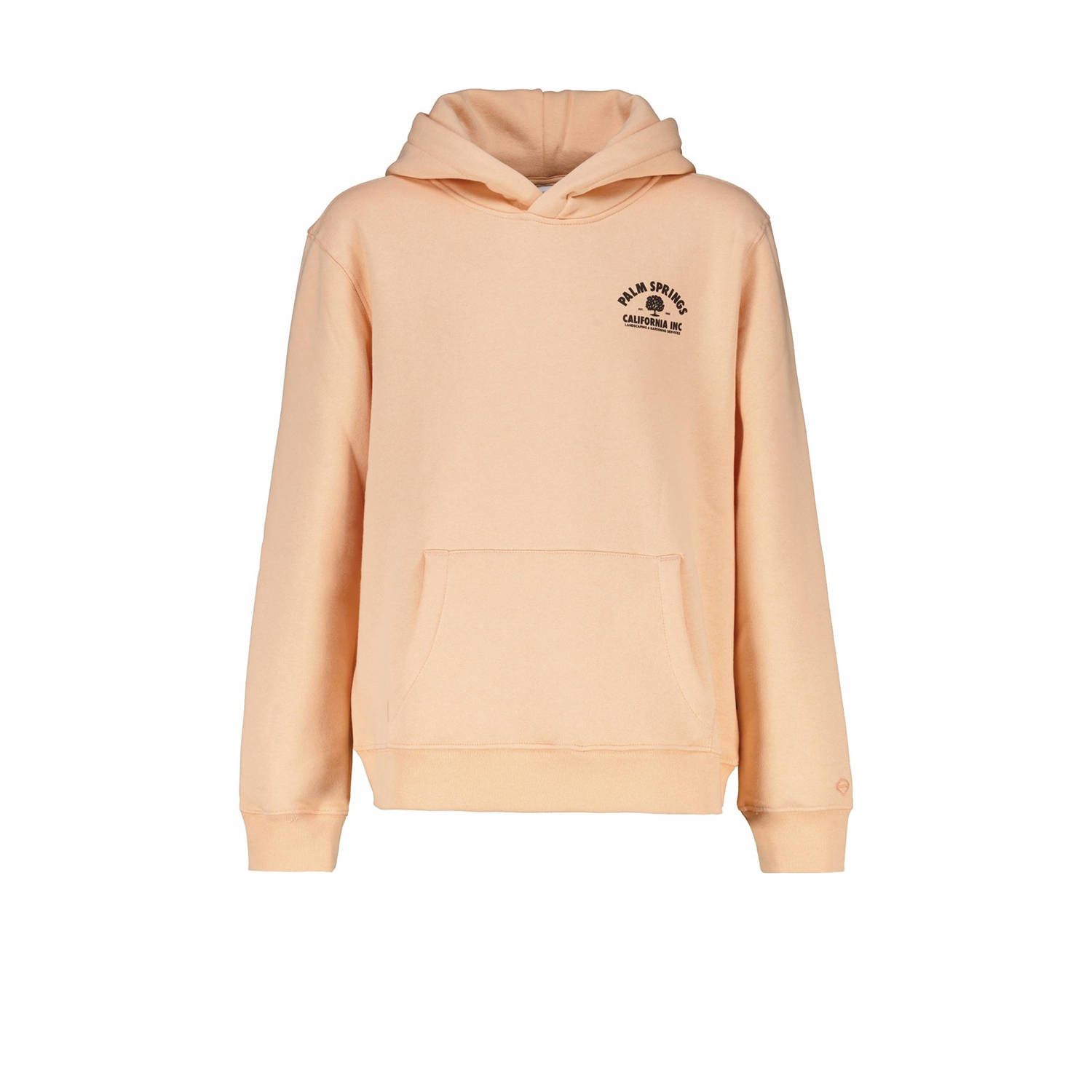 America Today hoodie met backprint peach