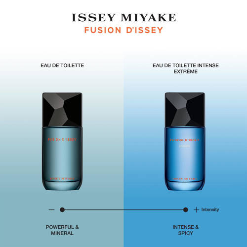 Issey Miyake L'eau d'Issey pour Homme Fusion d'Issey eau de toilette - 100 ml