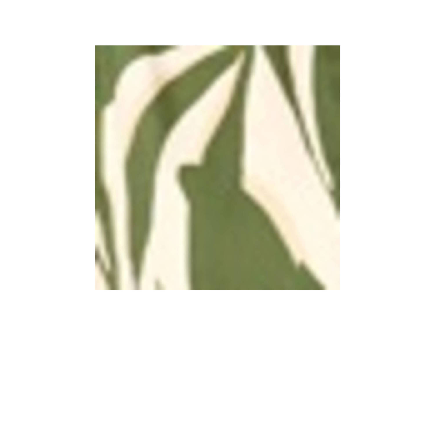 LOLALIZA blousejurk met bladprint en ceintuur ecru groen