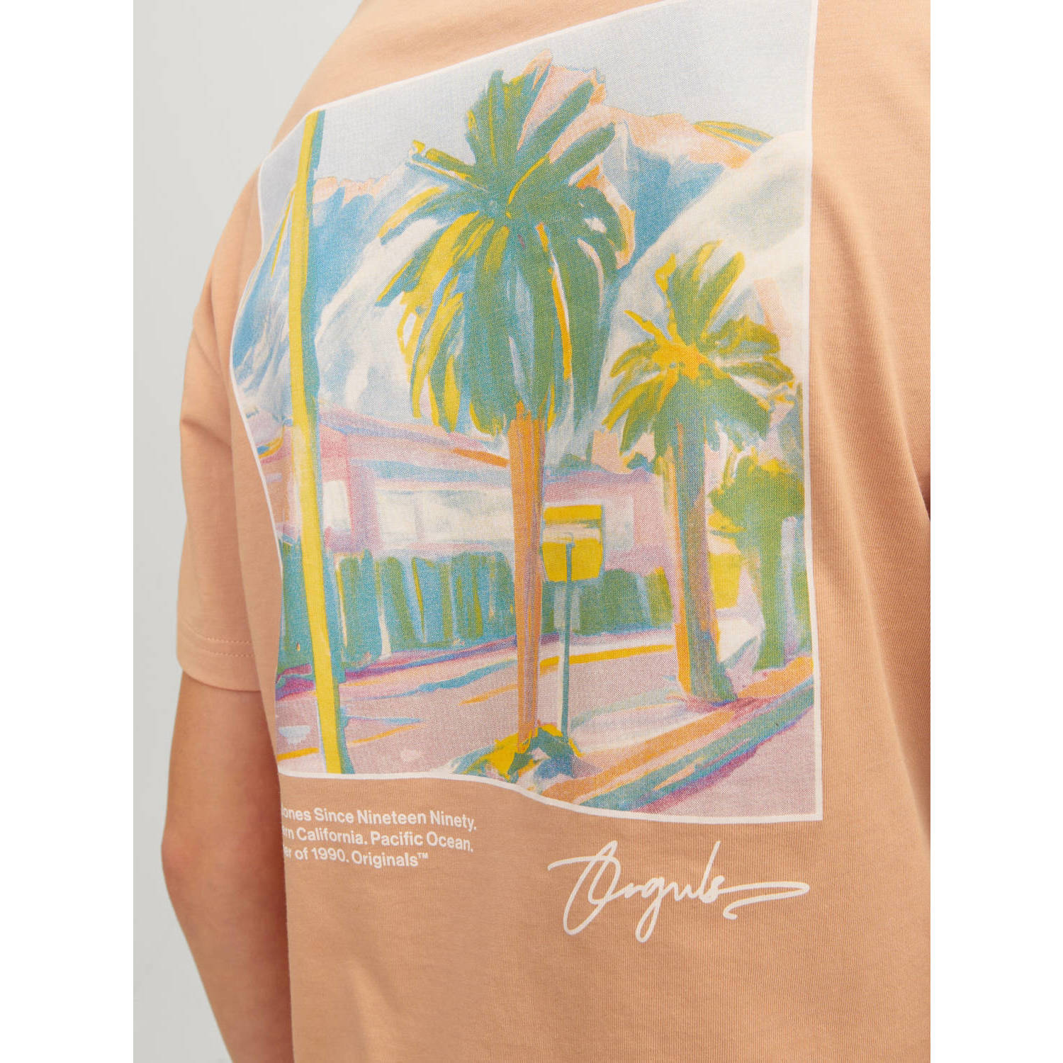 JACK & JONES JUNIOR T-shirt JORARUBA LANDSCAPE met backprint zachtoranje