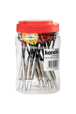  Karella steeltip darts 19 gram 24 stuks
