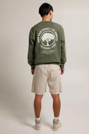 thumbnail: America Today sweater Stevie met backprint olive