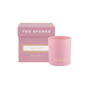 thumbnail: Ted Sparks geurkaars Demi - Fig & Violet