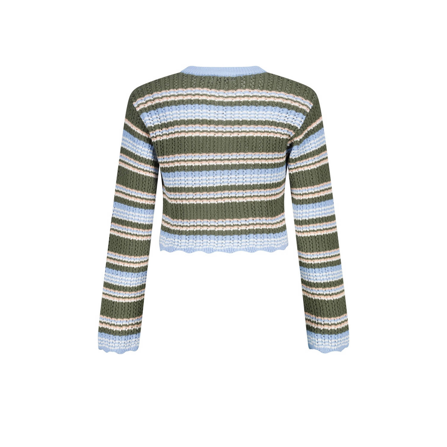 America Today gestreepte trui bruin blauw