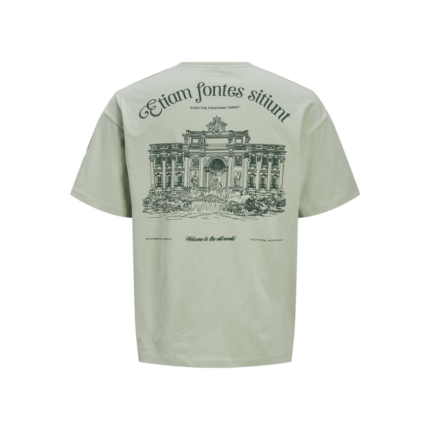 JACK & JONES ORIGINALS T-shirt JORFOUNTAIN met backprint lichtgroen