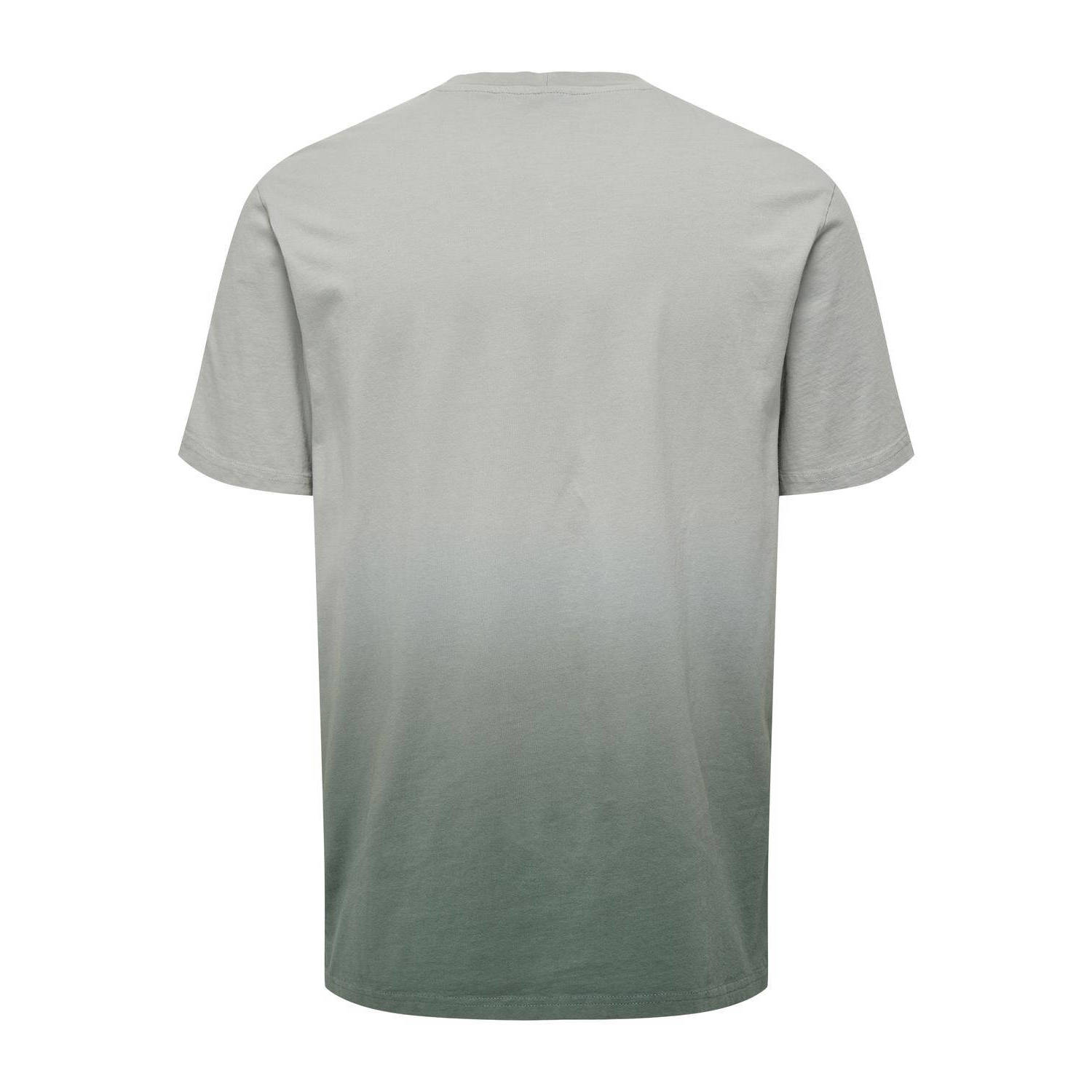 ONLY & SONS T-shirt ONSKELLAN met printopdruk grijs