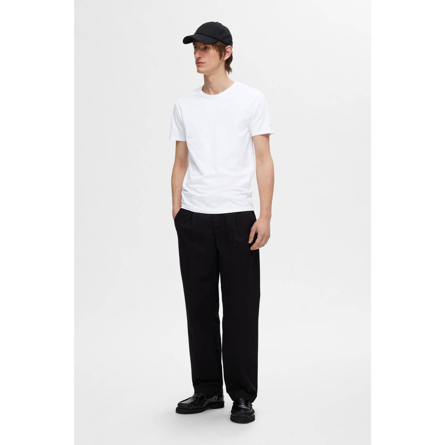 SELECTED HOMME T-shirt SLHROLAND (set van 3)