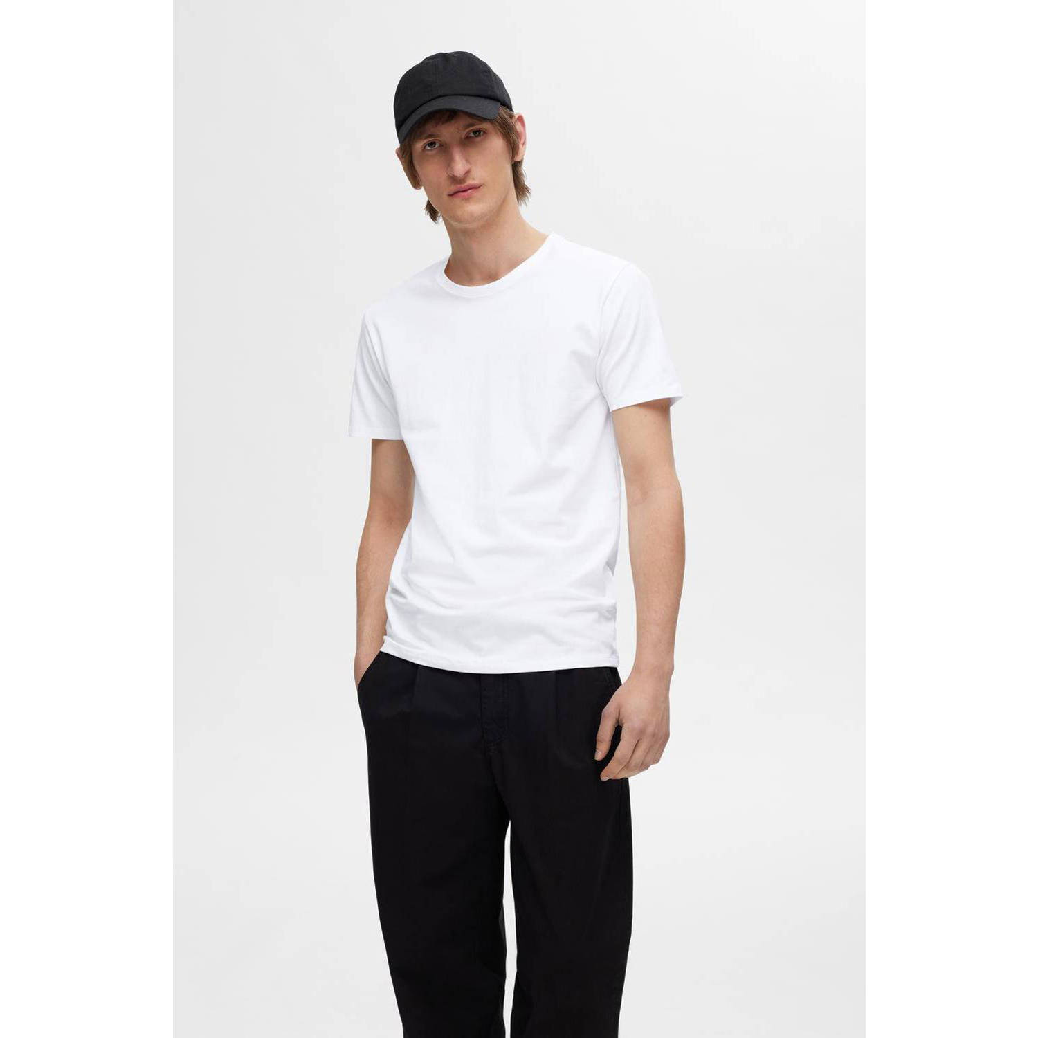 SELECTED HOMME T-shirt SLHROLAND (set van 3)