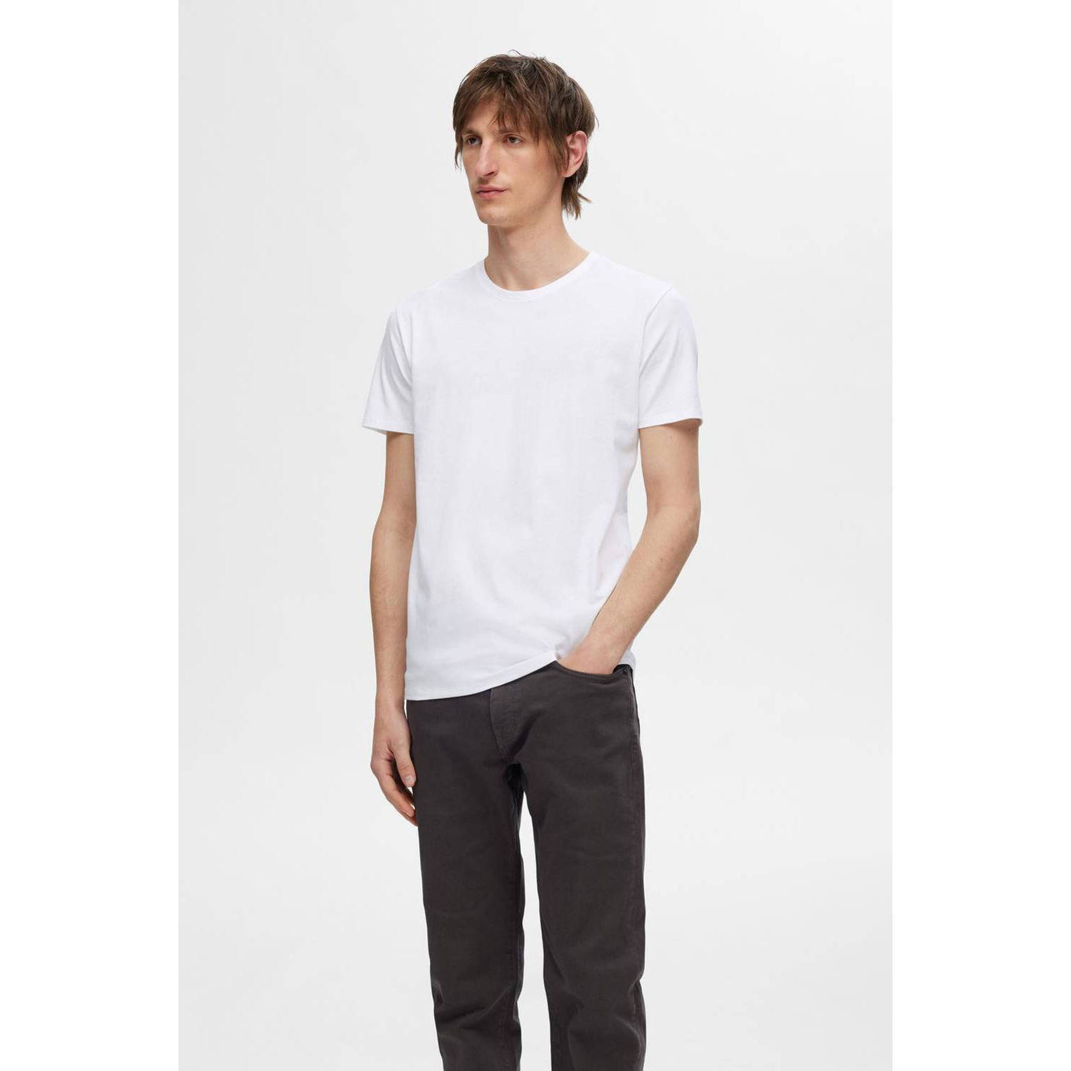 SELECTED HOMME T-shirt SLHROLAND (set van 3)
