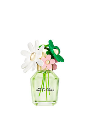 Wild eau de parfum - 50 ml
