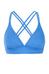 Fijiblue