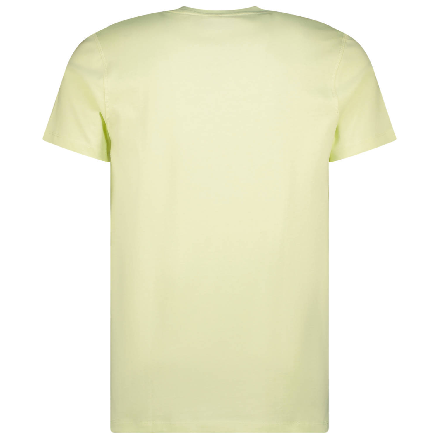 Raizzed T-shirt Hartwick met logo lime sand