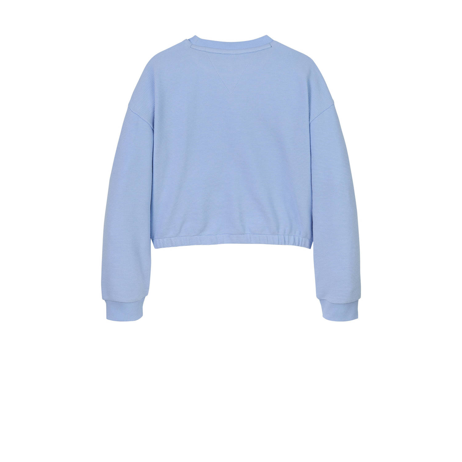 Tommy Hilfiger sweater lichtblauw