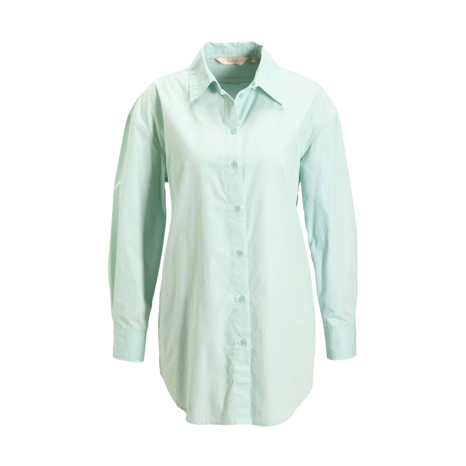 Ruby oversized poplin blouse pastel groen