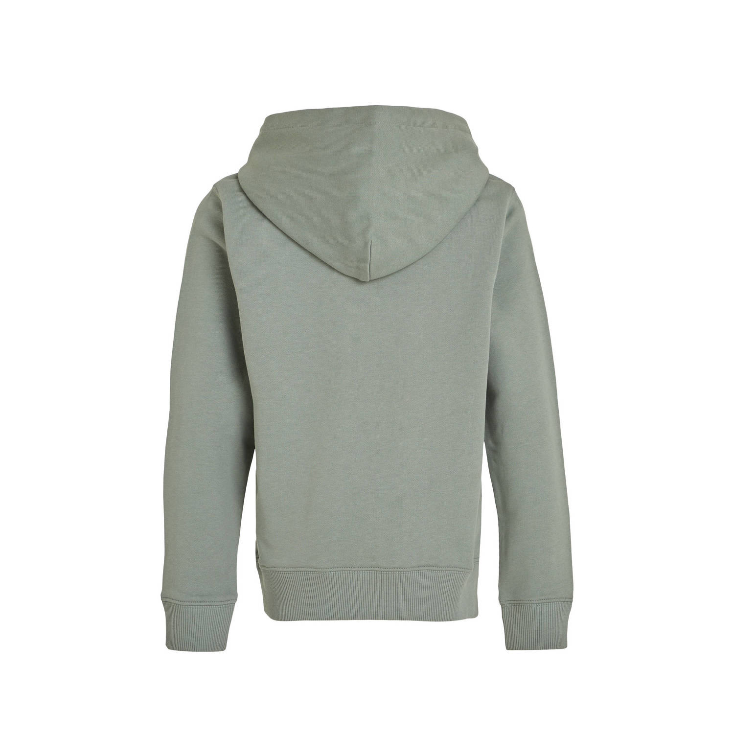 Calvin Klein hoodie met logo