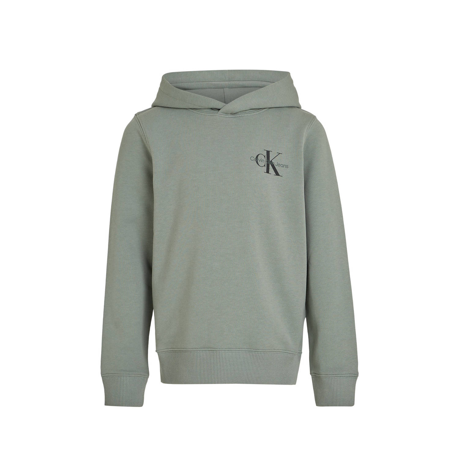 Calvin Klein Jeans hoodie met logo Sweater Groen Jongens Katoen Capuchon 116