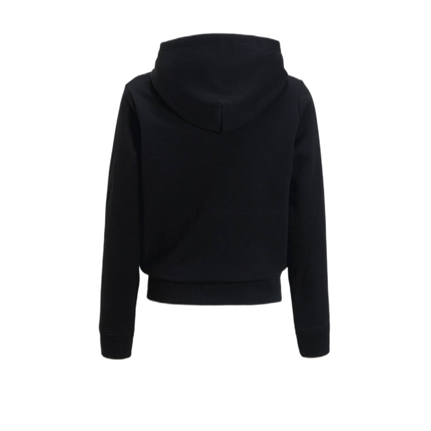 Calvin Klein hoodie zwart