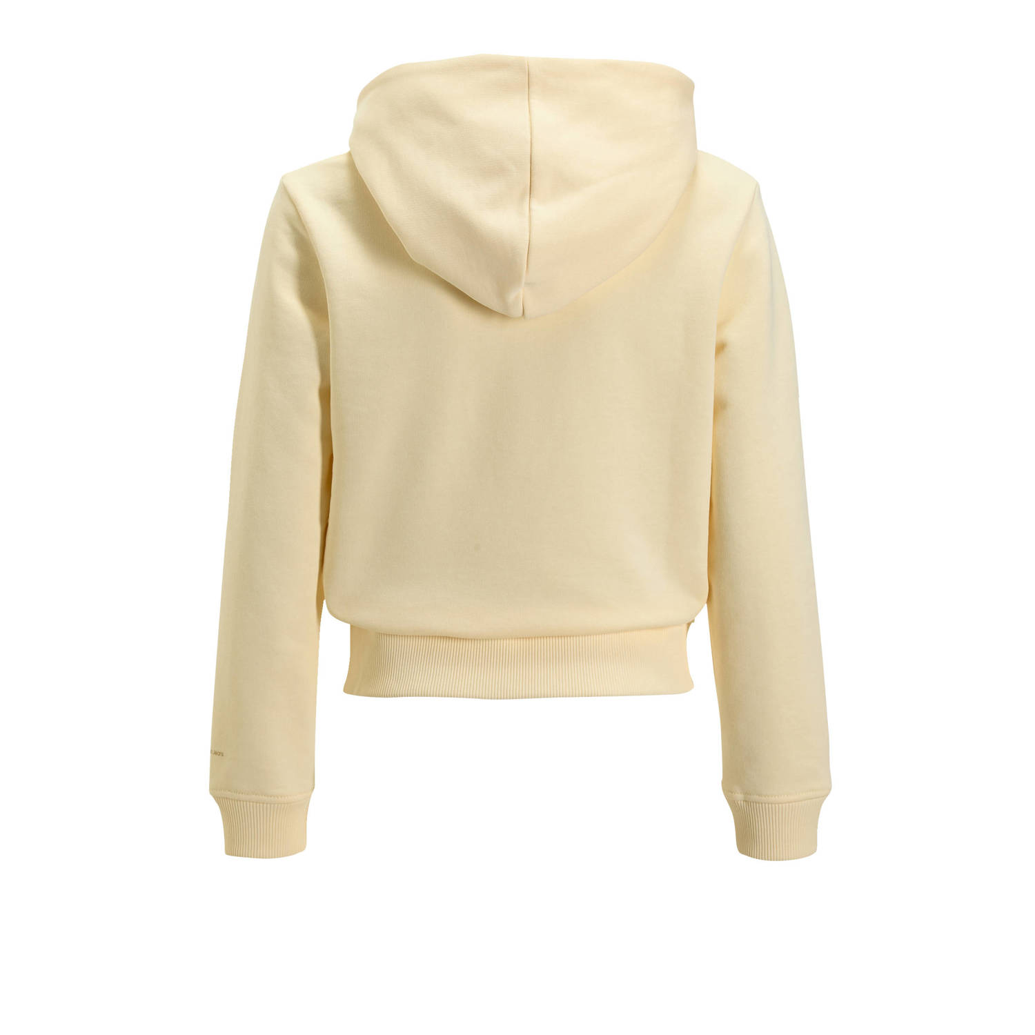 Calvin Klein hoodie met logo