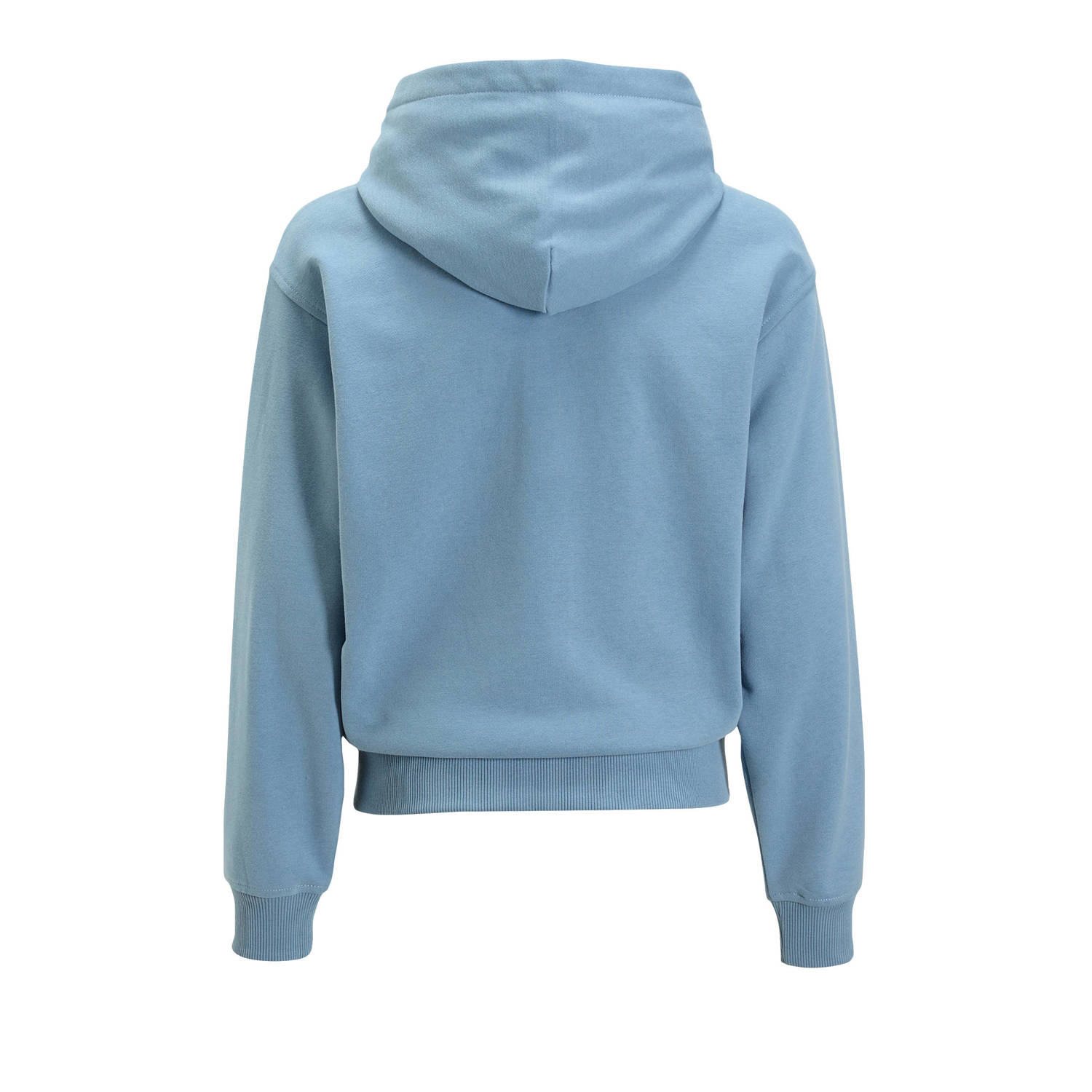 Calvin Klein hoodie met logo lichtblauw