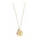 A Beautiful Story ketting Paradise Aventurijn goudkleurig