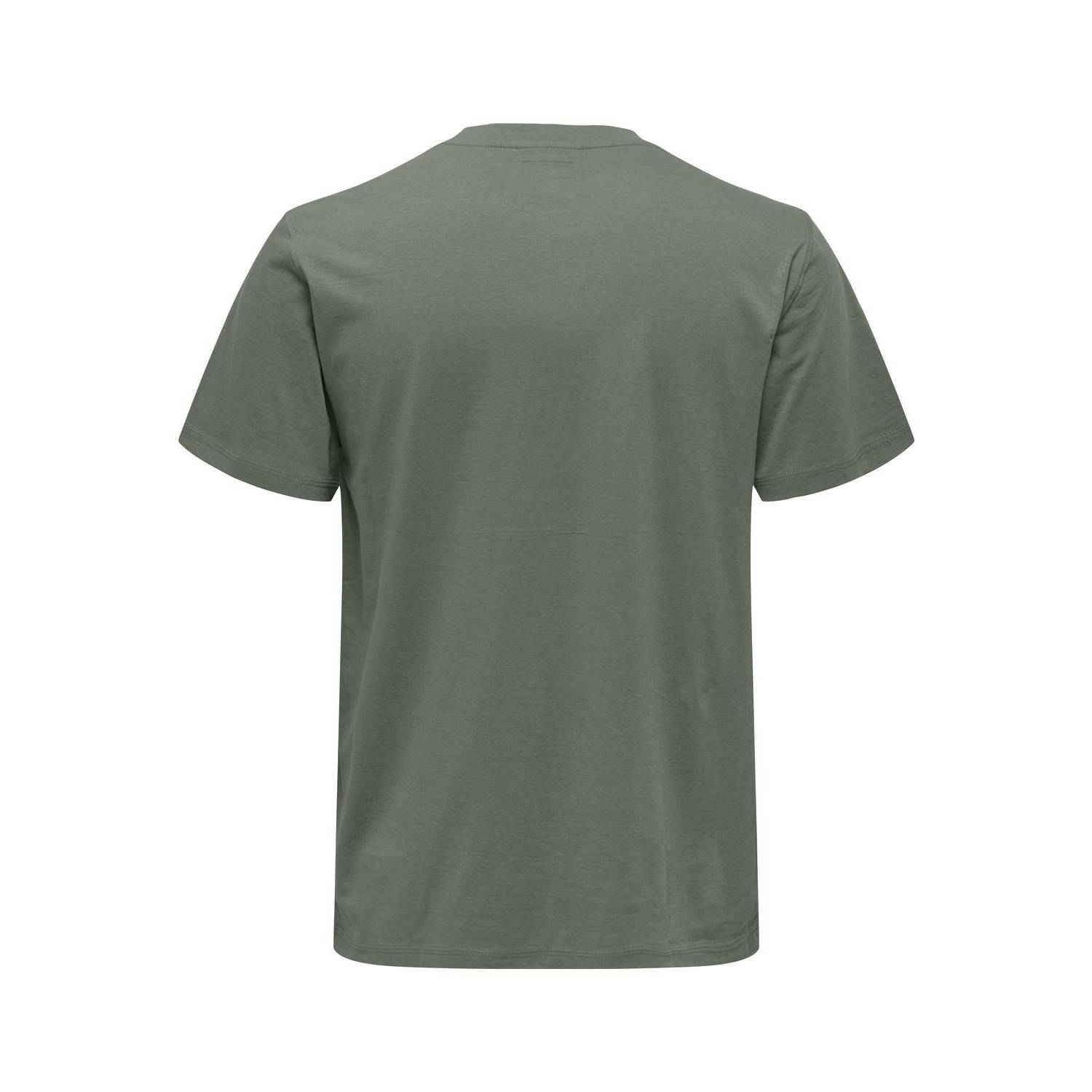 ONLY & SONS regular fit T-shirt ONSMAX