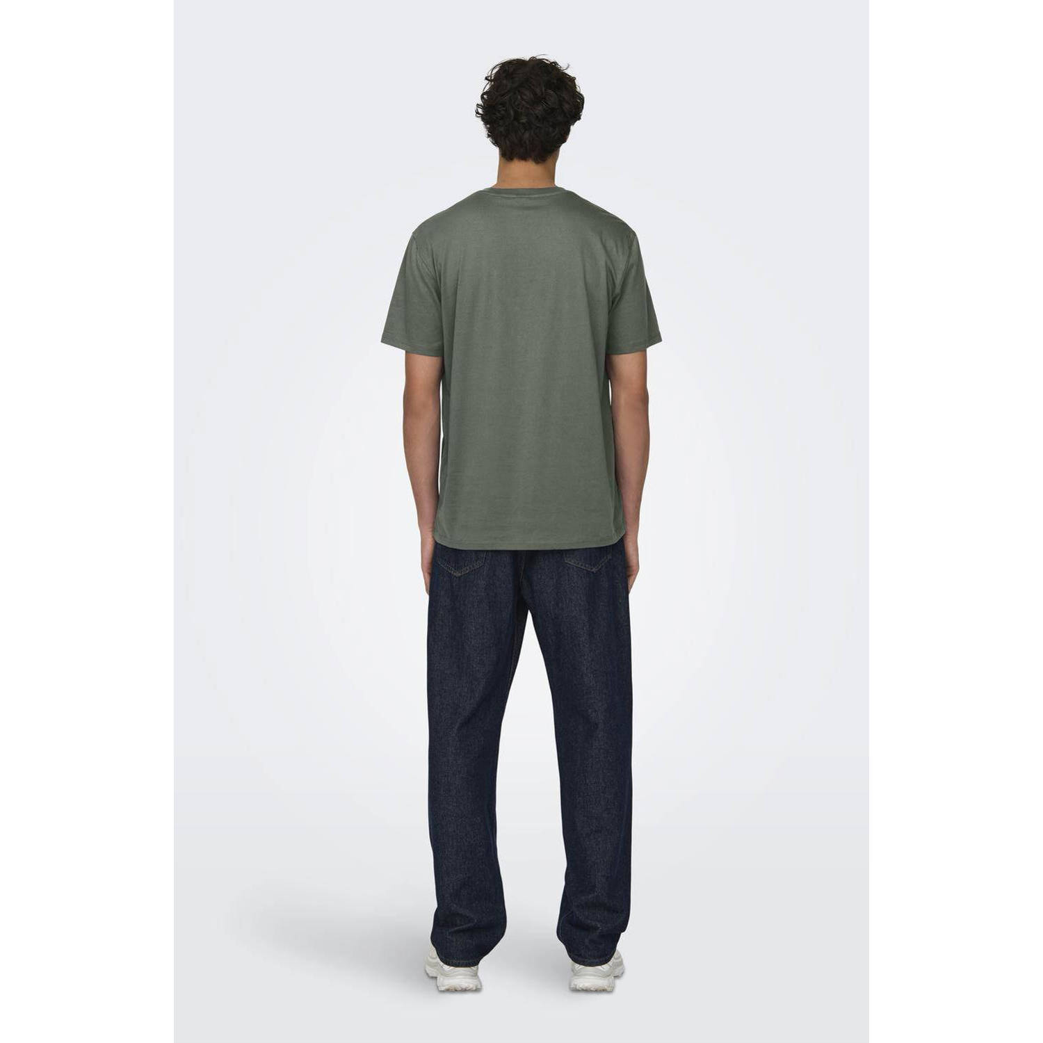 ONLY & SONS regular fit T-shirt ONSMAX