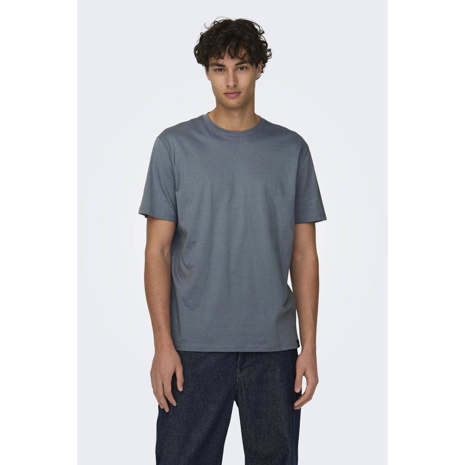 ONLY & SONS regular fit T-shirt ONSMAX