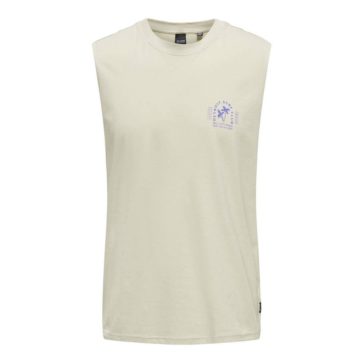 ONLY & SONS regular fit T-shirt ONSMATTY met printopdruk silver lining