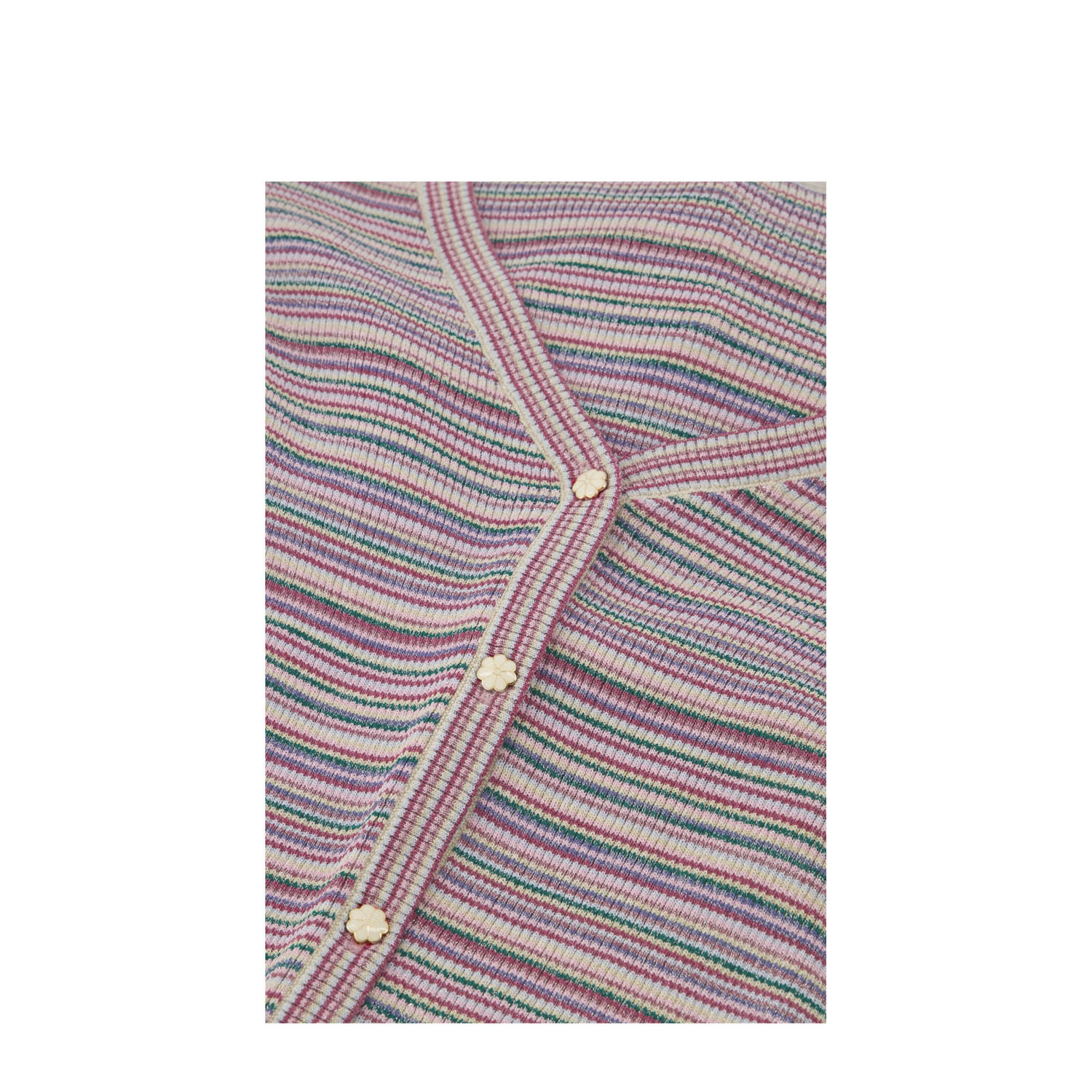 Fabienne Chapot gestreept vest Lollipop multi