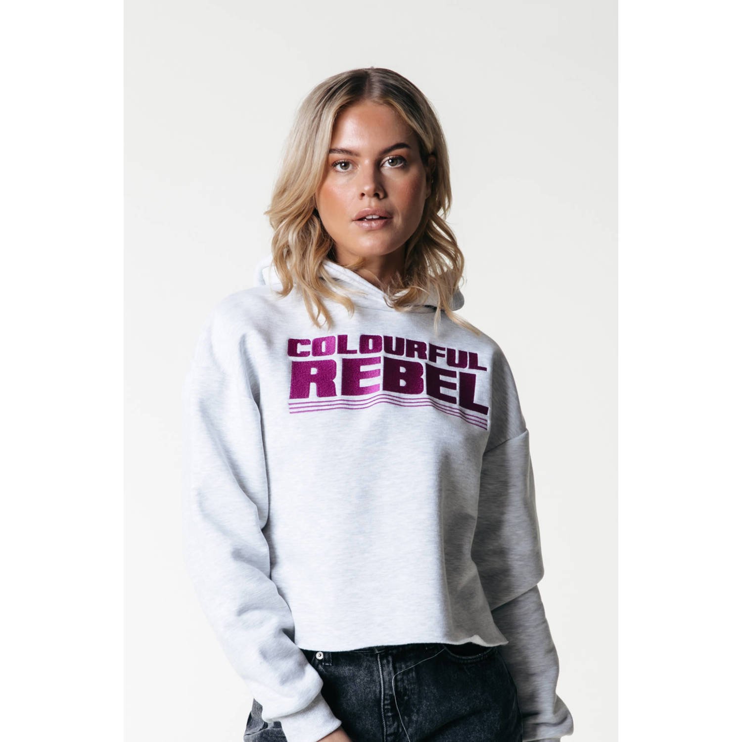 Colourful Rebel sweater grijs