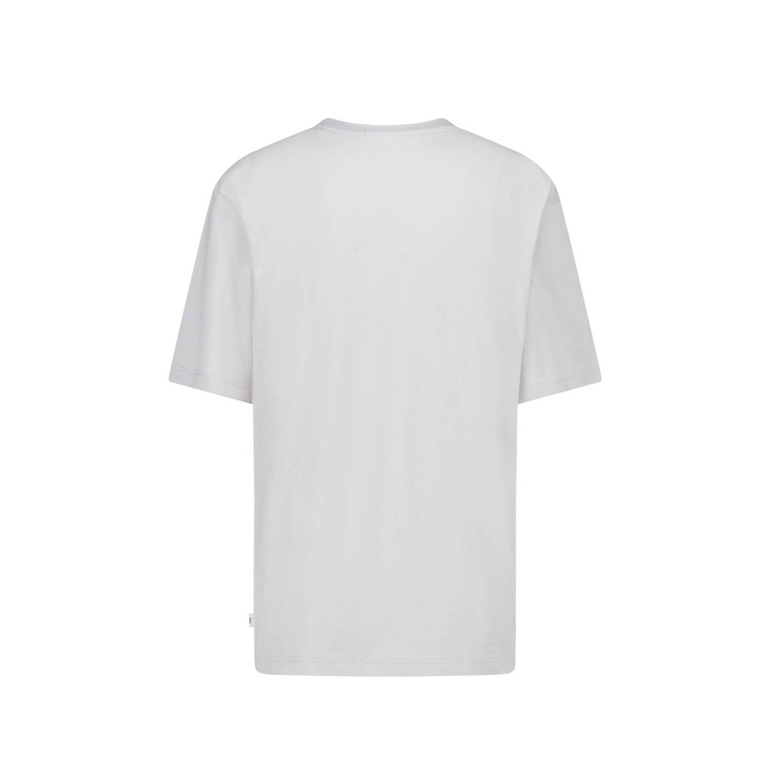 America Today T-shirt met printopdruk light grey