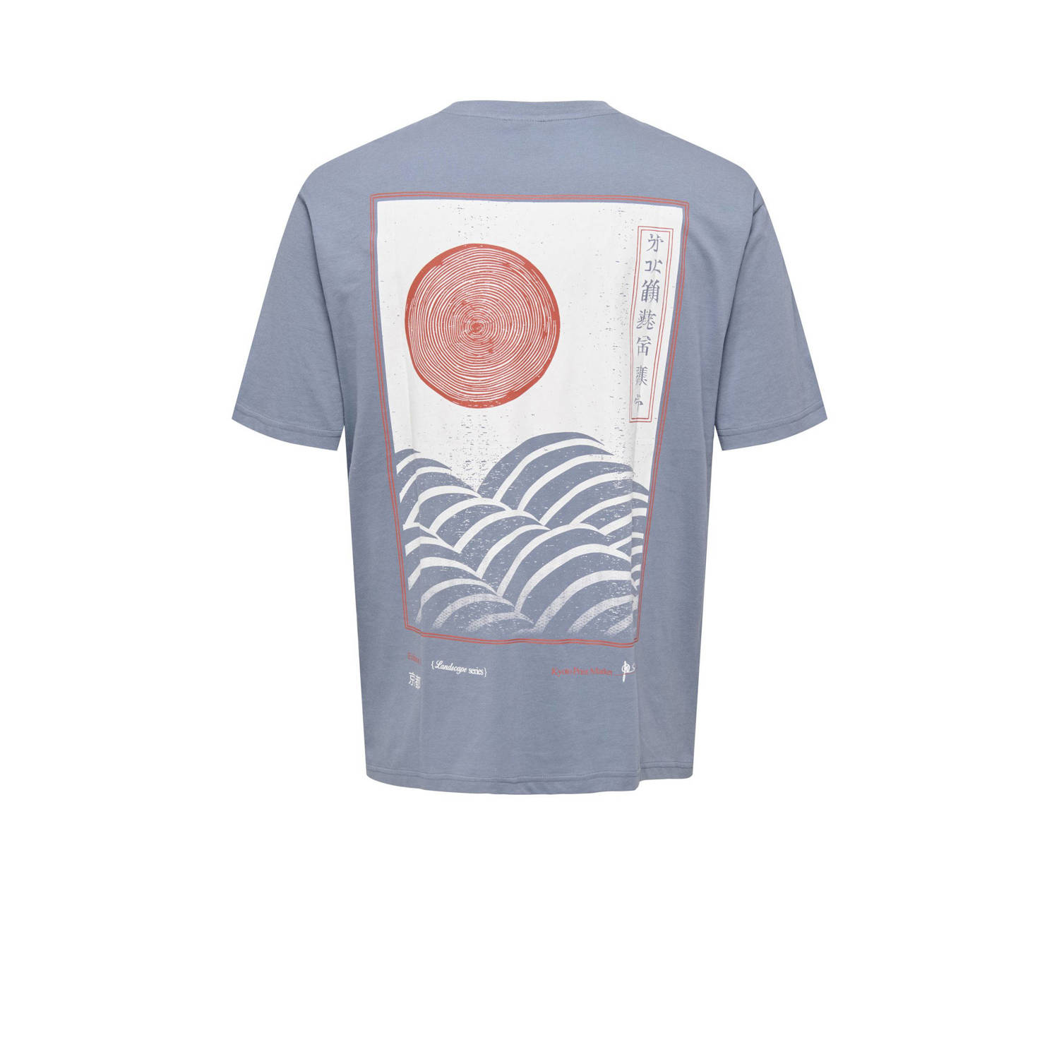 ONLY & SONS T-shirt ONSKEANE met backprint
