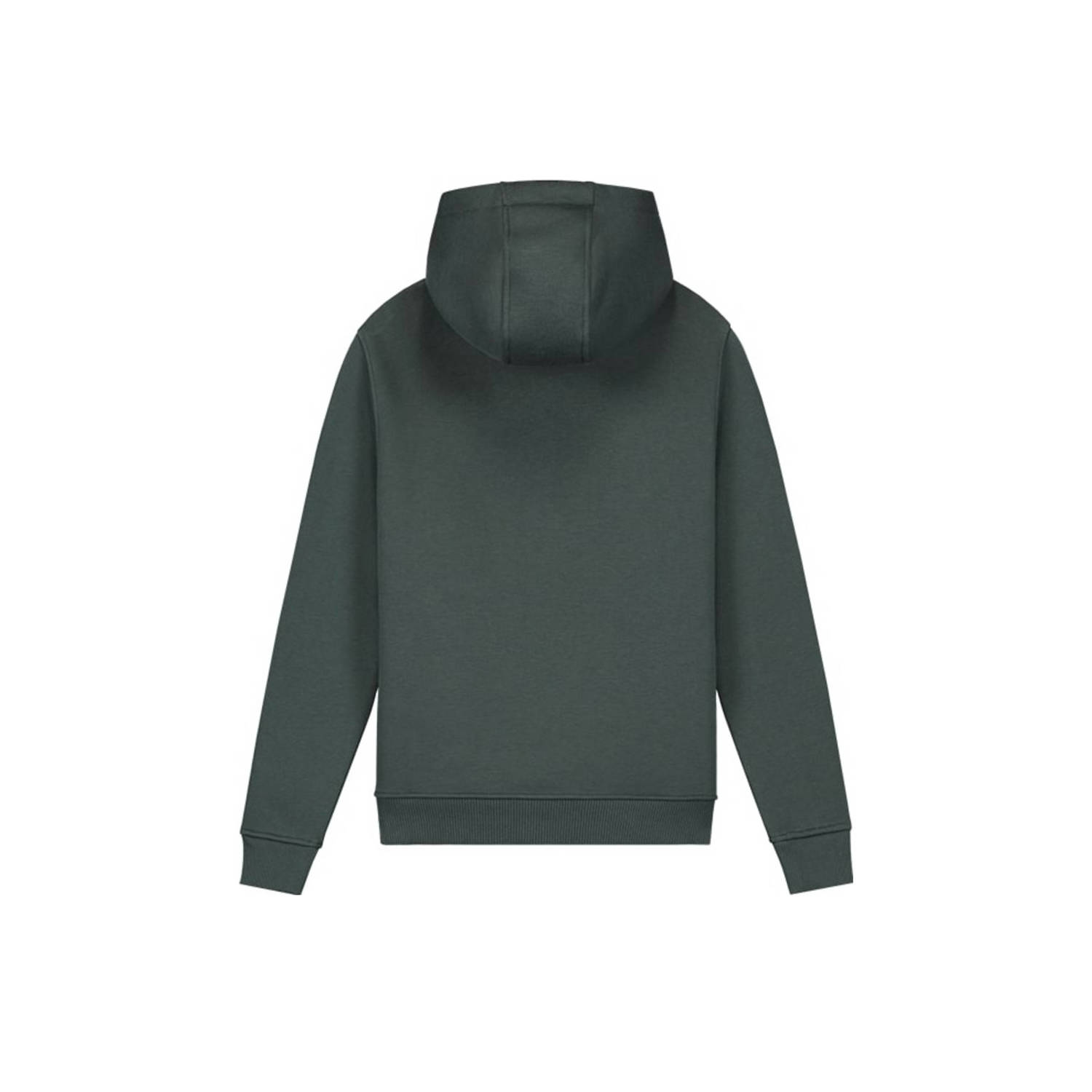 Malelions hoodie Striped Signature met printopdruk grijsgroen