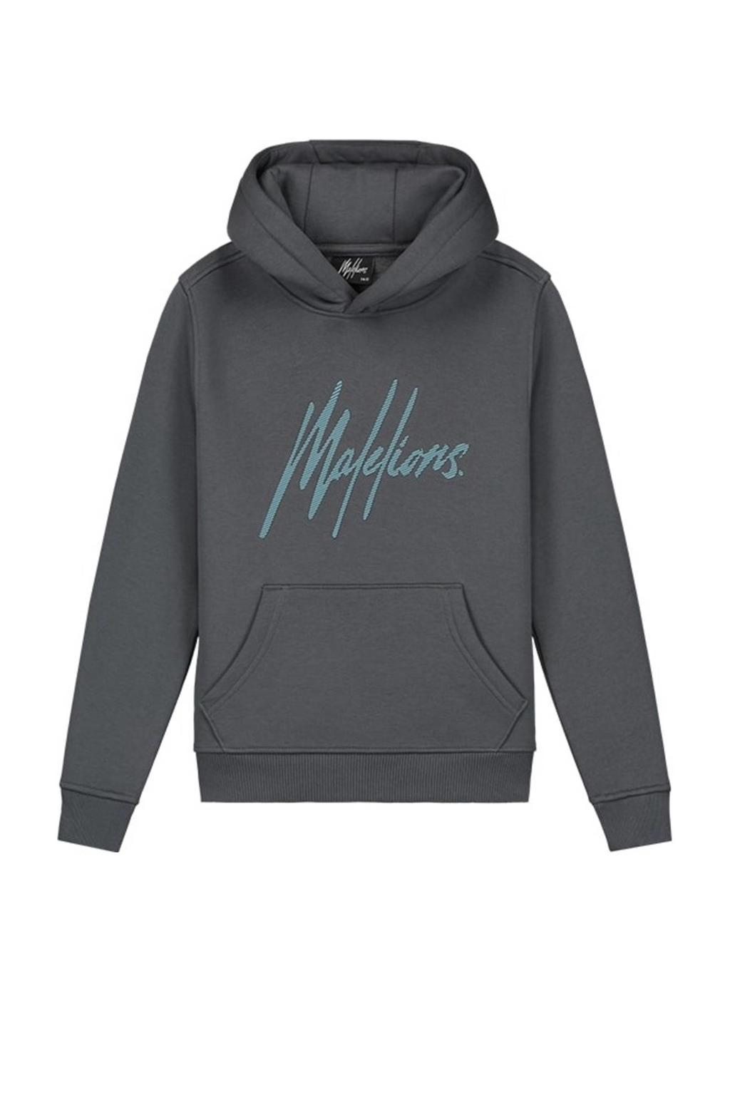 Grijs en donkergrijze jongens Malelions hoodie Striped Signature van katoen met printopdruk, lange mouwen en capuchon