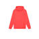 Lyle & Scott sweater MLB2001V