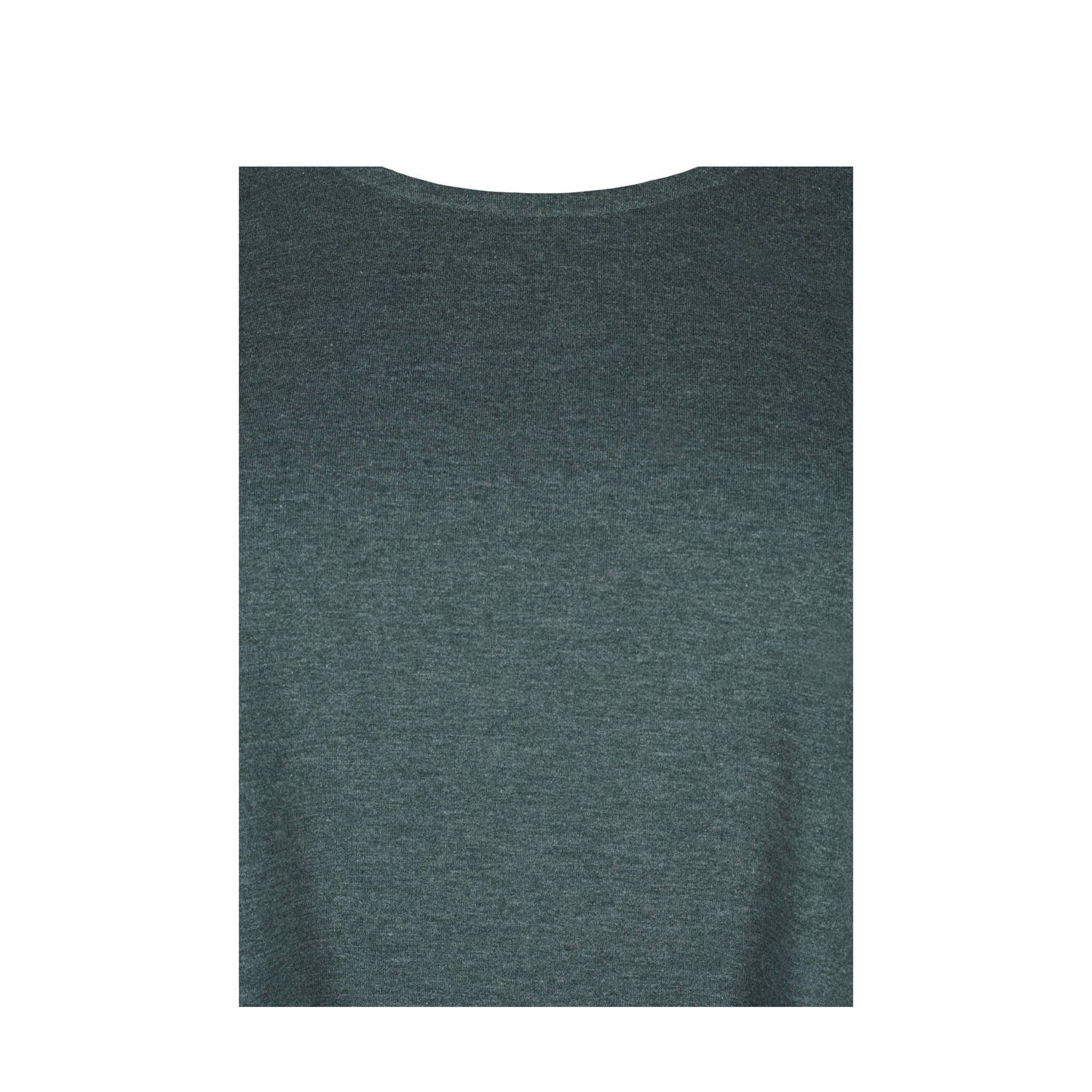 Zizzi top groen