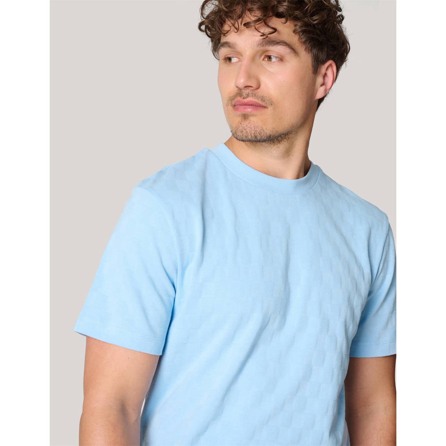 Shoeby Gebreid regular fit T-shirt met ingebreid patroon lichtblauw