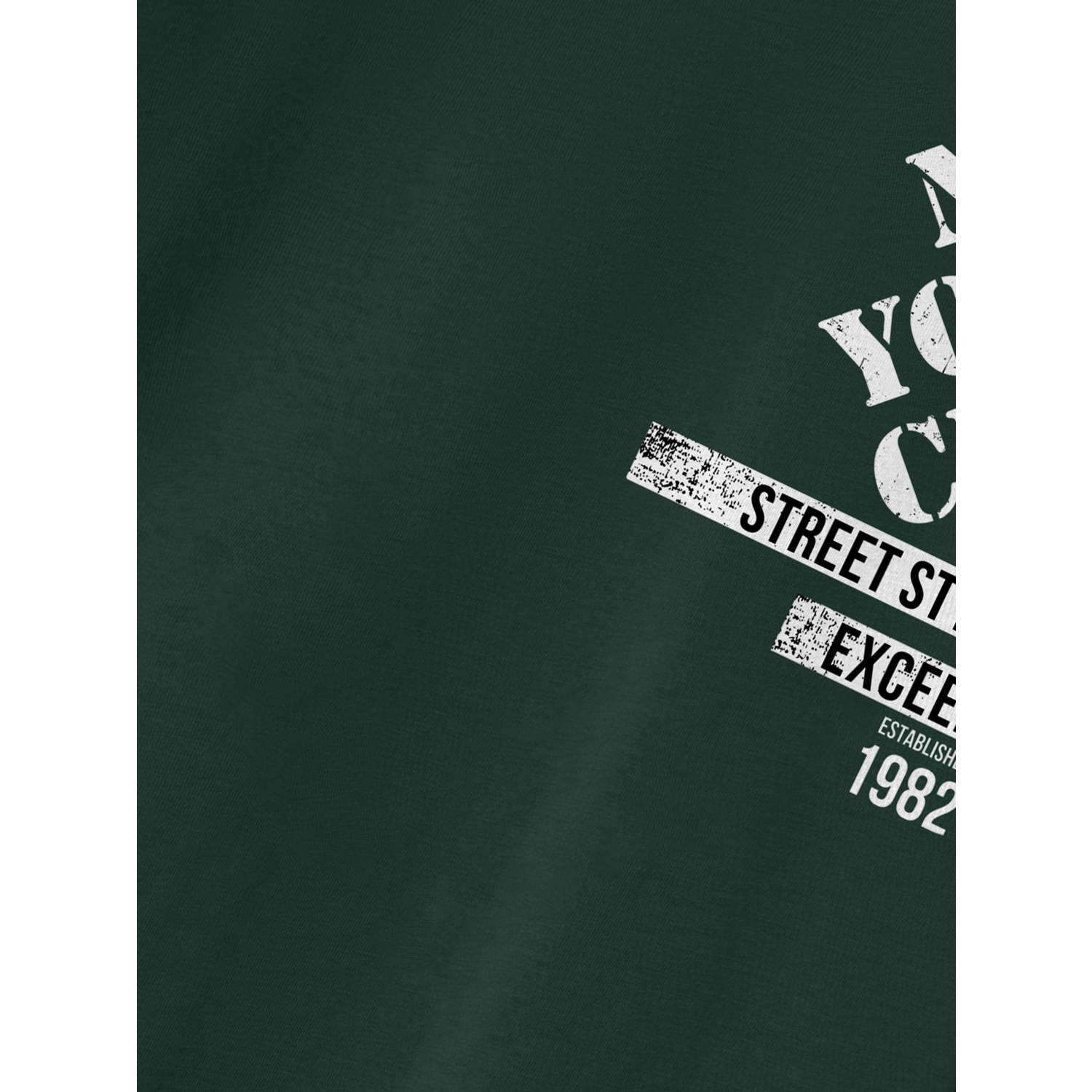 NAME IT KIDS longsleeve NKMVAGNO met printopdruk donkergroen