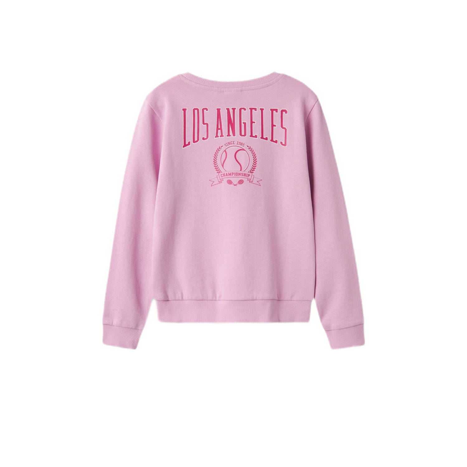 NAME IT KIDS sweater NKFVASACHA met backprint roze