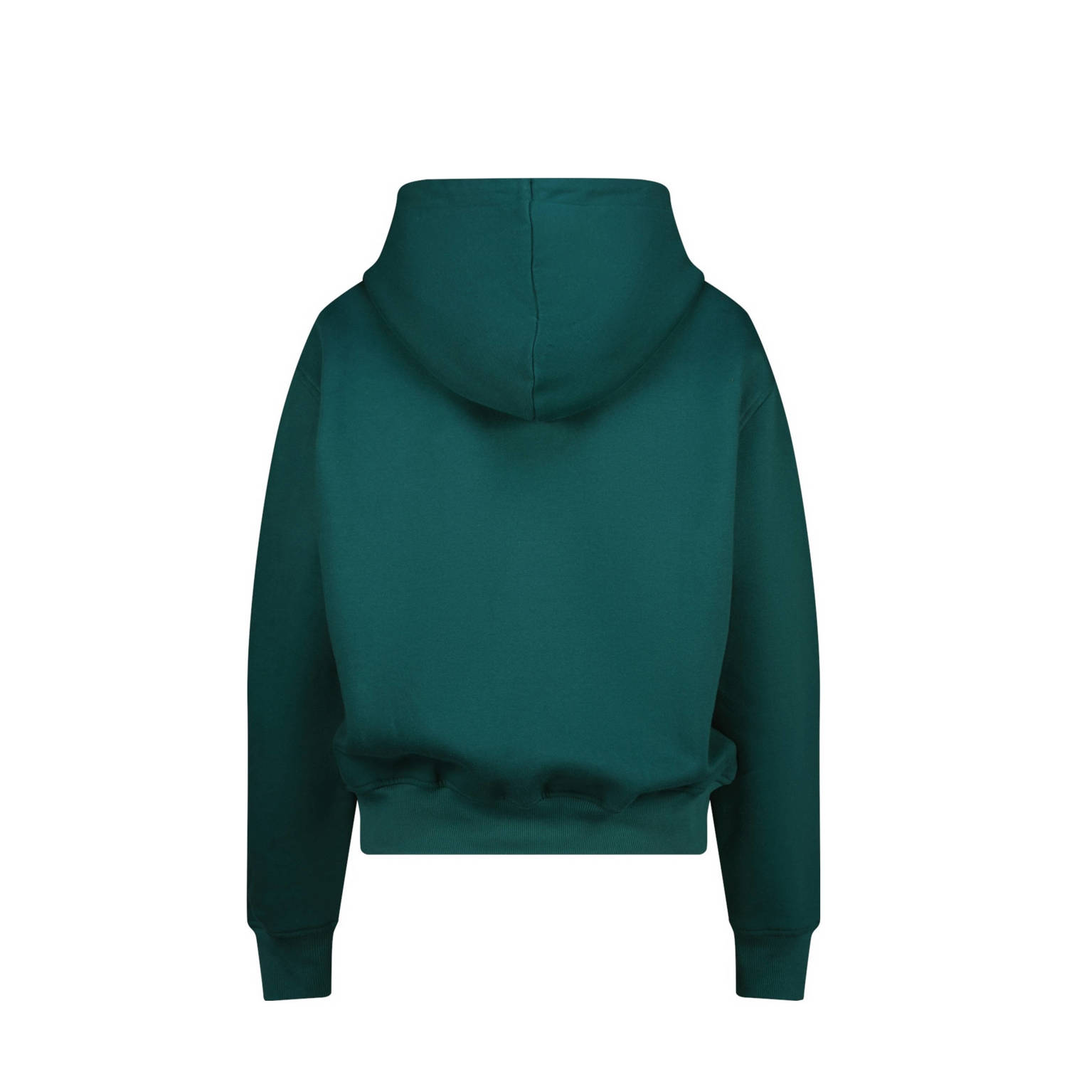 Raizzed hoodie petrol