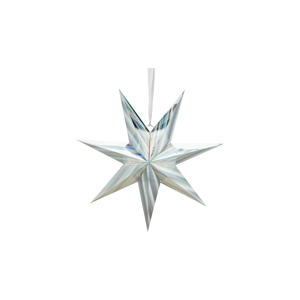 kerstster