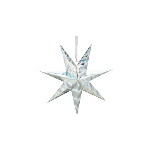 vtwonen kerstster Star afbeelding