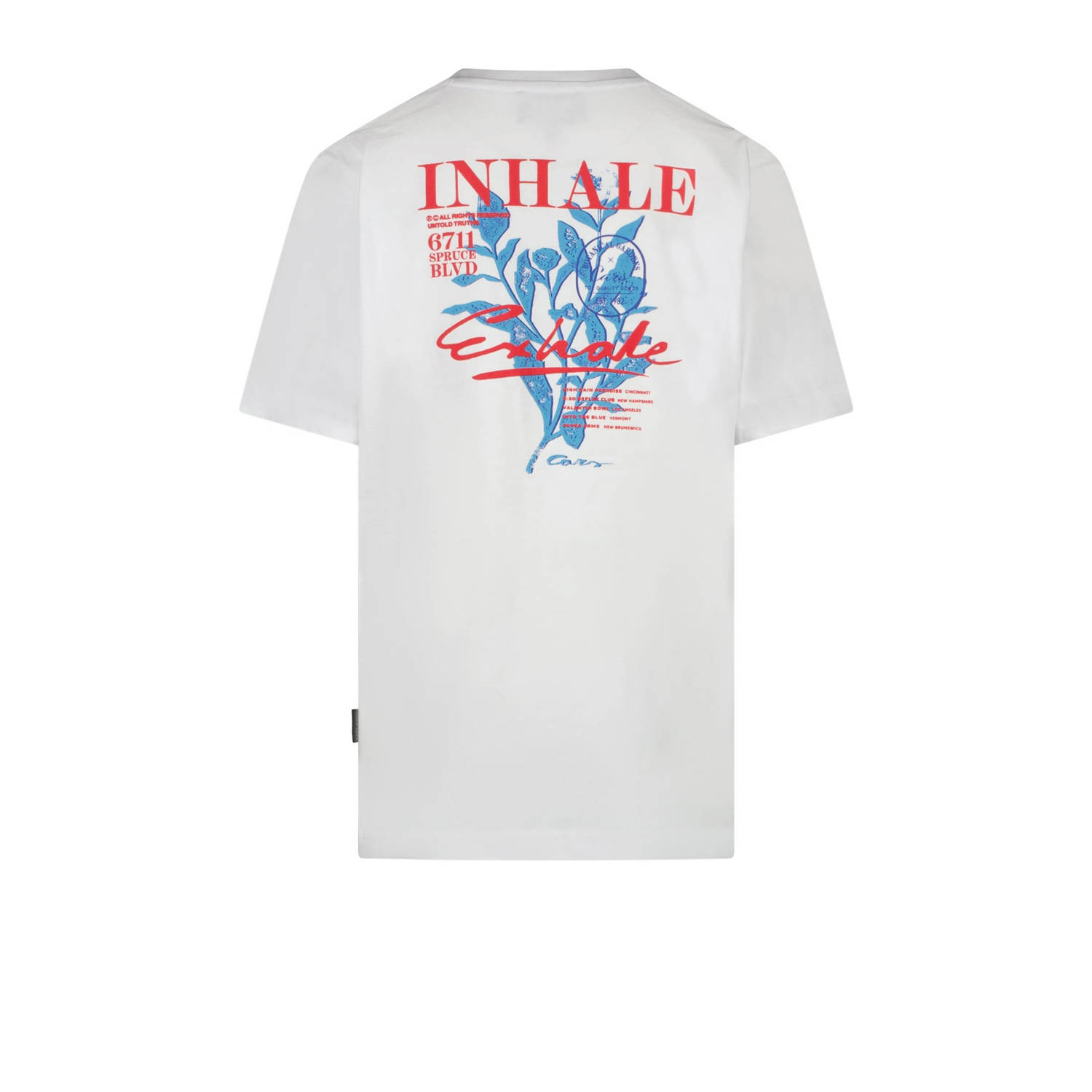 Cars T-shirt COLYN met backprint zachtblauw