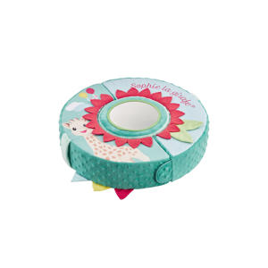 Activity Wheel