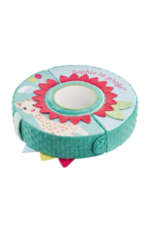 Activity Wheel