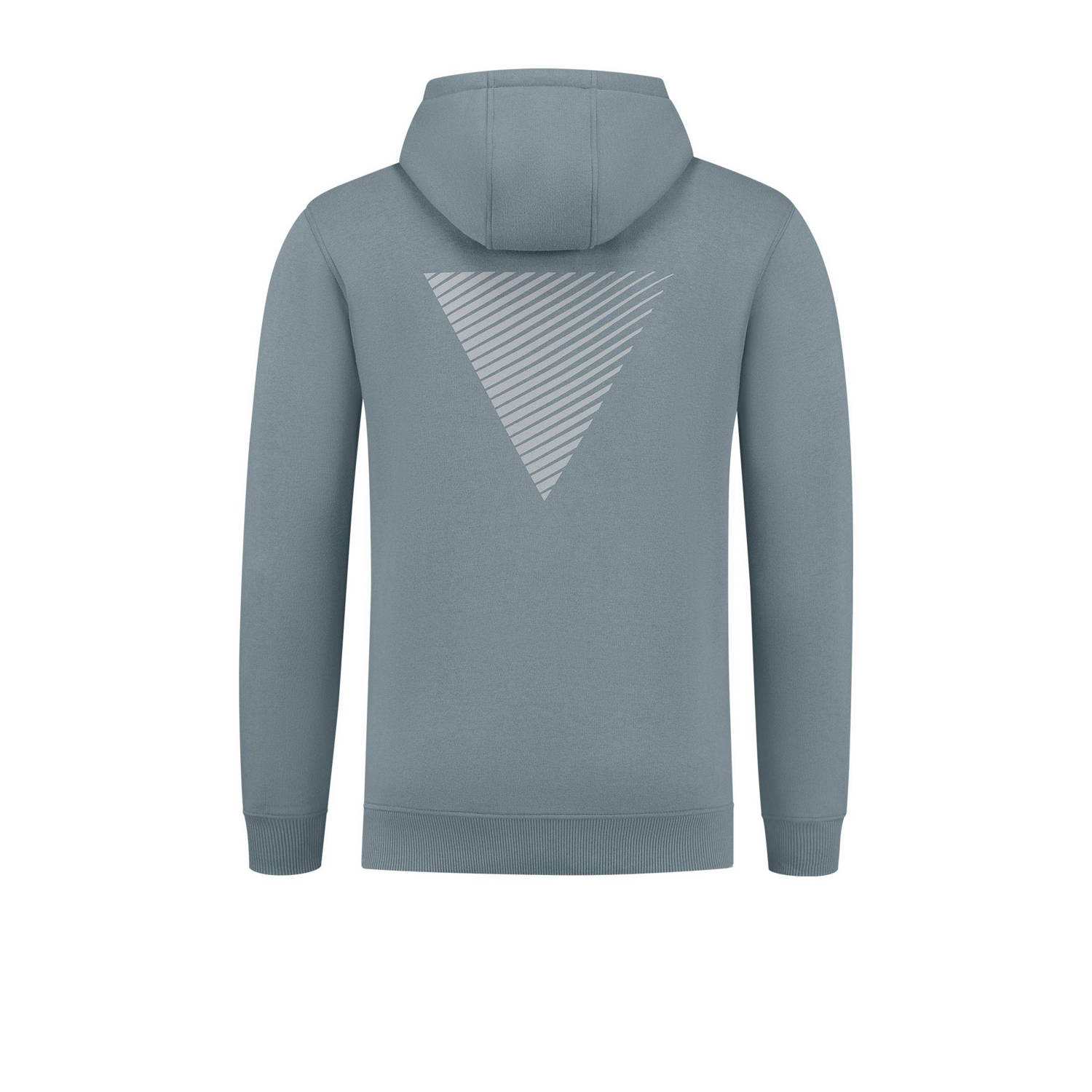 Pure Path hoodie blauw