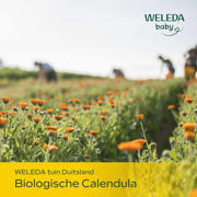 thumbnail: Weleda Calendula baby shampoo & douchecrème - 200 ml