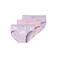 NAME IT MINI slip NMFBRIEFS HORSE - lila/roze (set van 3)