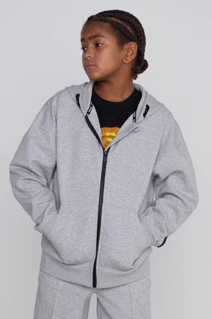 Unisex Vest Charly met Capuchon Grijs
